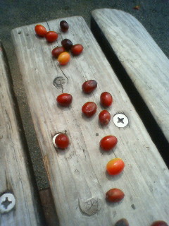 201005311302000.jpg