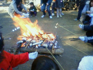 201101311128000.jpg
